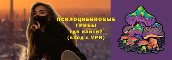 метадон Арсеньев