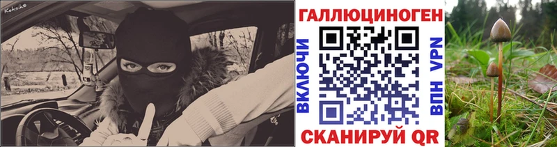 маркетплейс наркотические препараты  Полевской  Псилоцибиновые грибы Cubensis 
